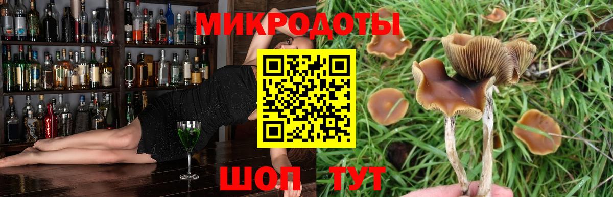 Псилоцибиновые грибы Magic Shrooms Химки