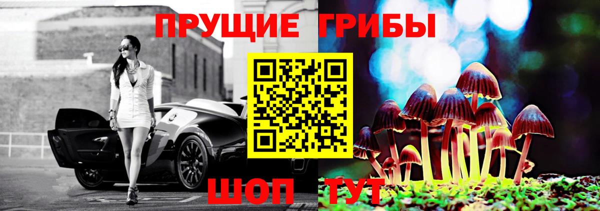 Галлюциногенные грибы мицелий  Вход с VPN  где найти   Химки  Галлюциногенные грибы Psilocybe 